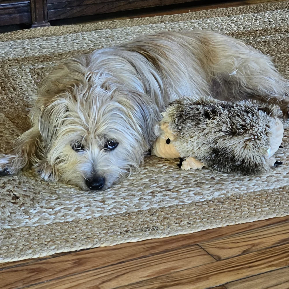 Anna! - Picture 2 of 4